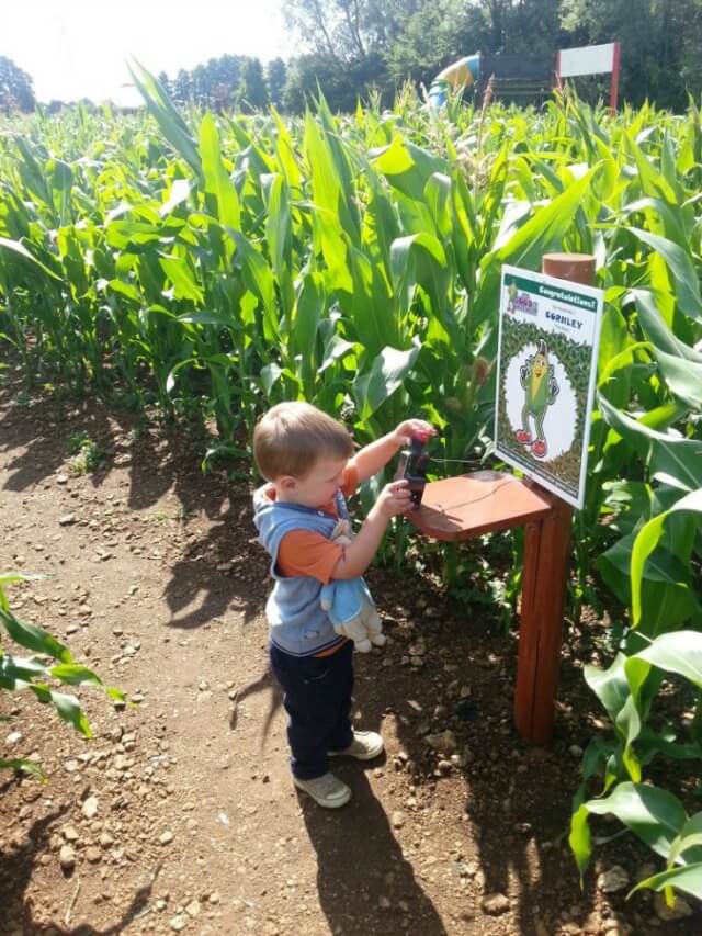 stamping the maze card