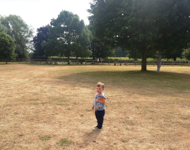 standing in a parched field