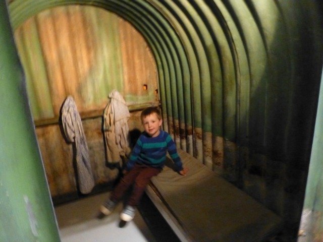 mshed anderson shelter c