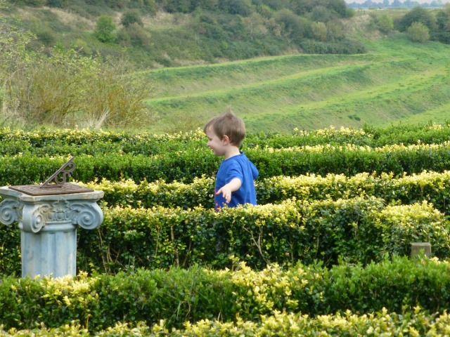 herb centre maze