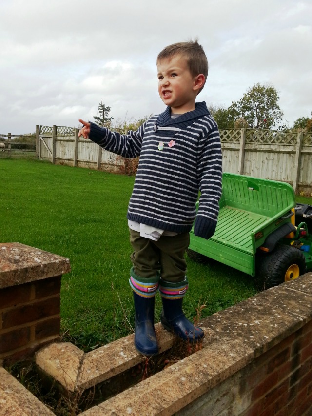 pumpkin patch house of fraser boys wear