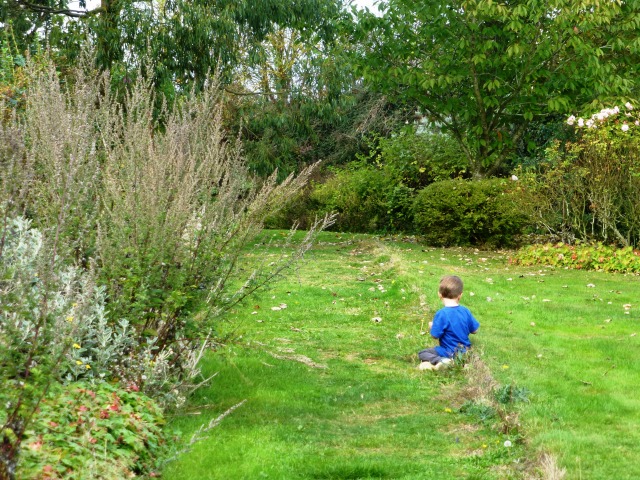 refusing to walk the nature trail