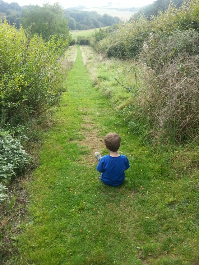 sitting at the top of the hill - nature trail