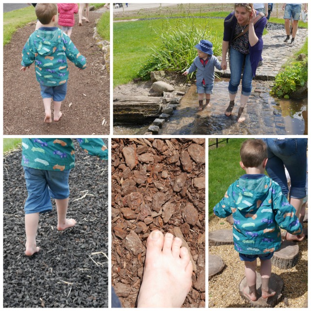 barefoot walk at Trentham Estate