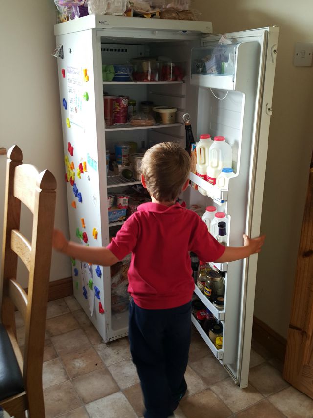 checking out the contents of the fridge