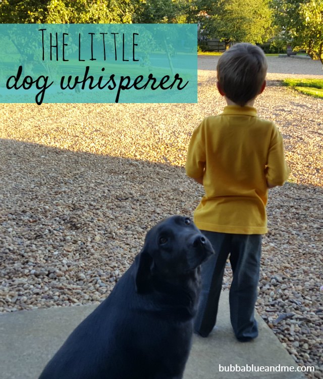 the little dog whisperer - Bubbablue and me