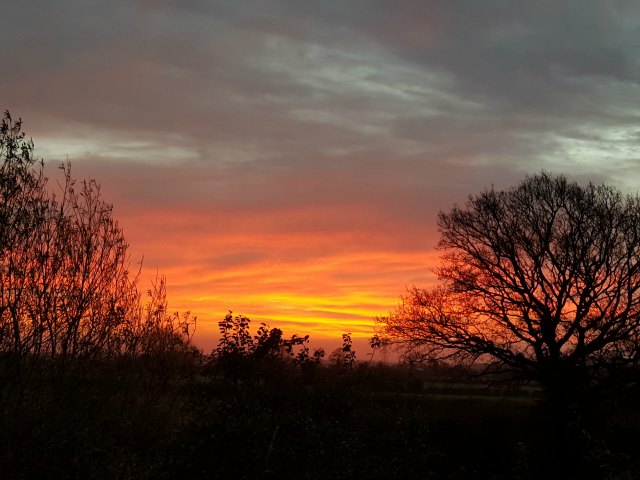 sunrise over the farm