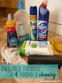 4 standards of cleaning