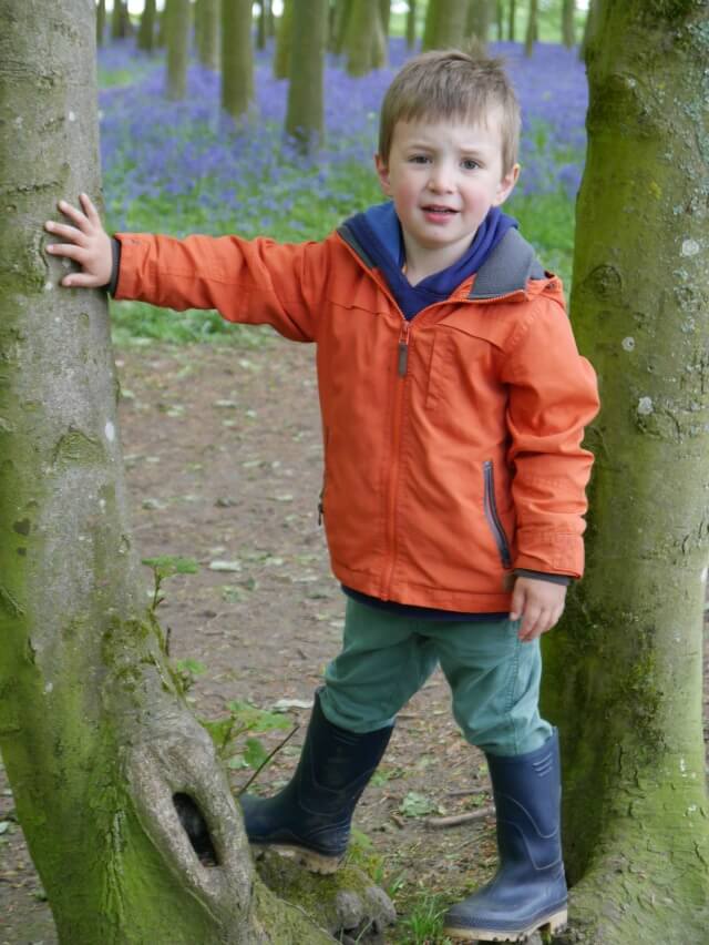 -tree climbing boy in a bluebell wood