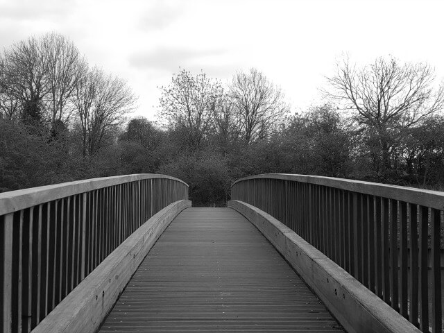 black and white bridge in Spiceball Park