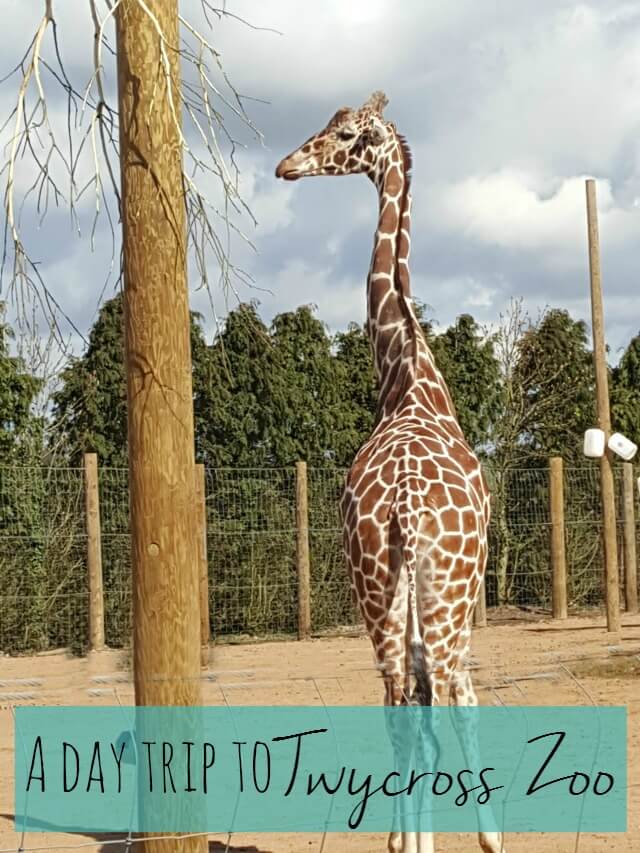 day trip to Twycross zoo - Bubbablue and me