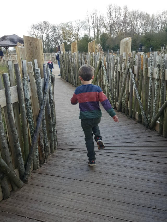 running by the elephants at Twycross zoo