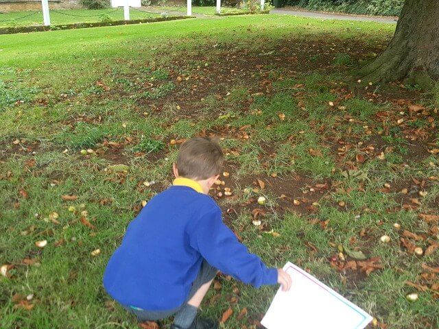 conker collecting after school