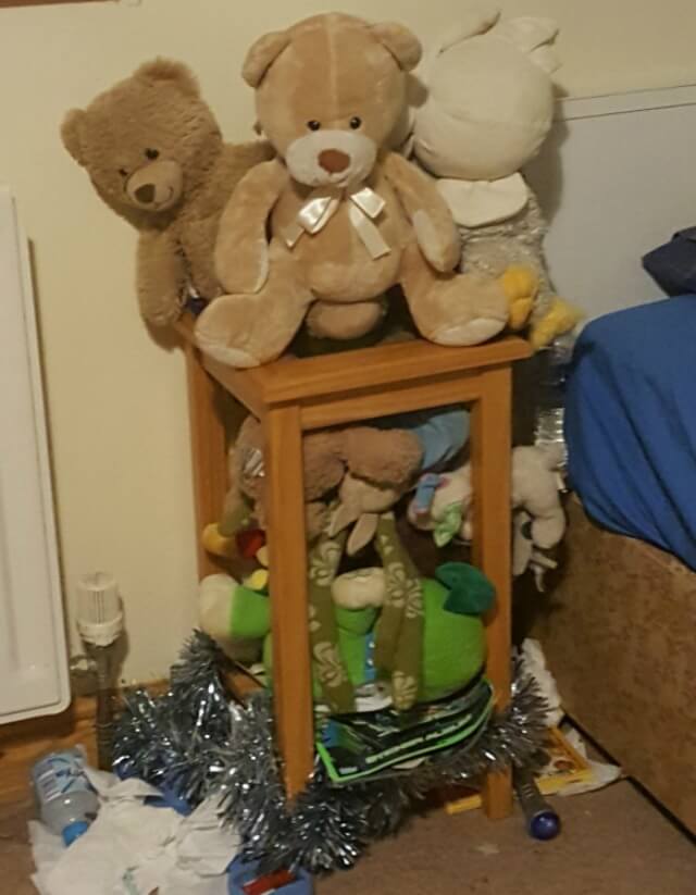 teddy bear storage