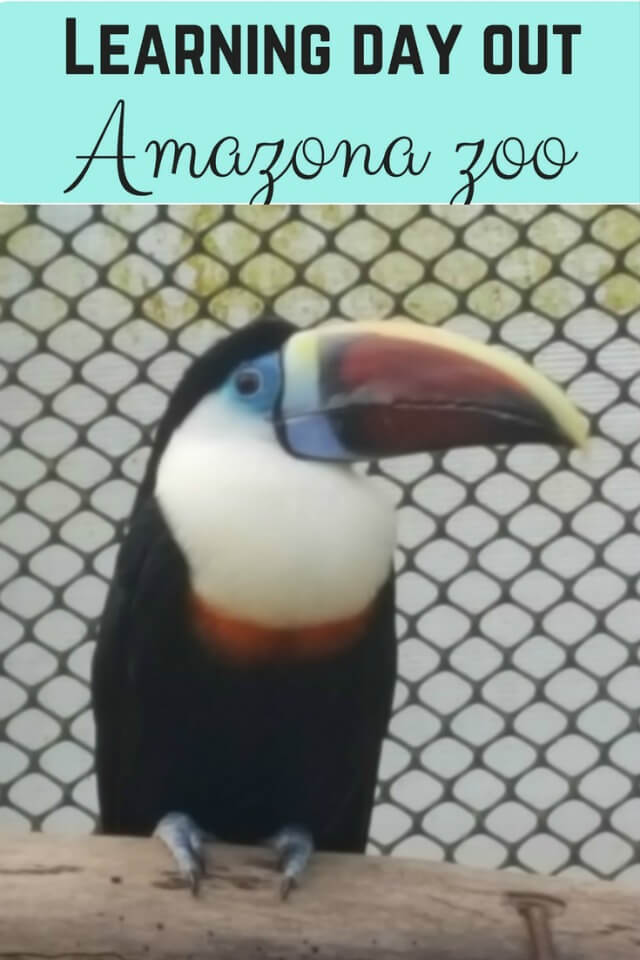 Amazona Zoo Cromer – an educational visit