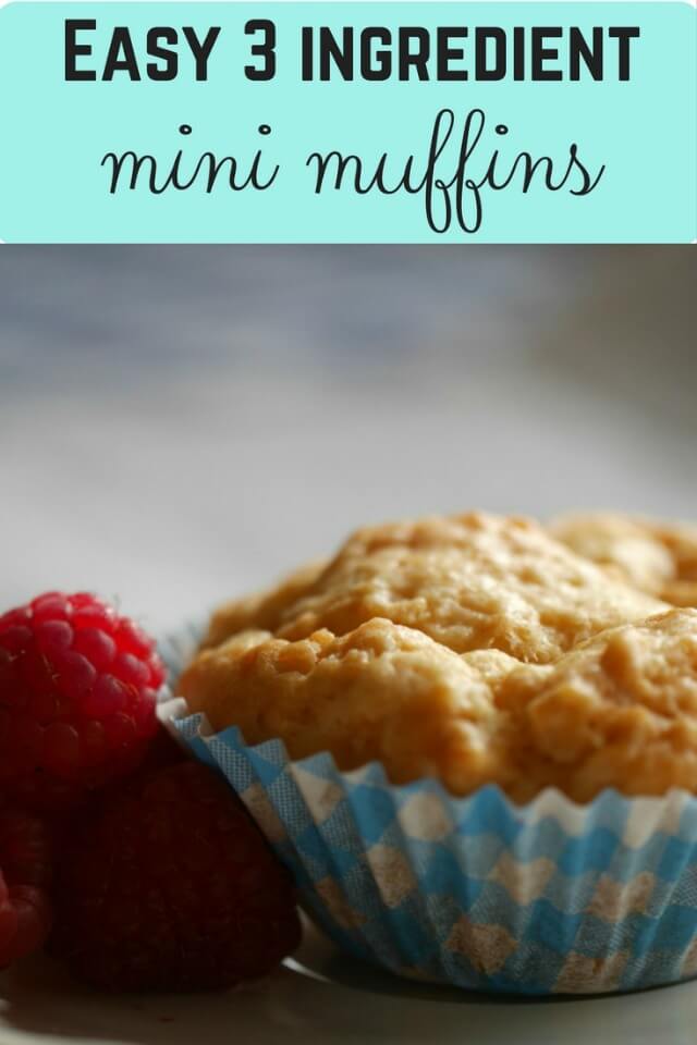 Easy 3 ingredient mini muffins - Bubbablue and me