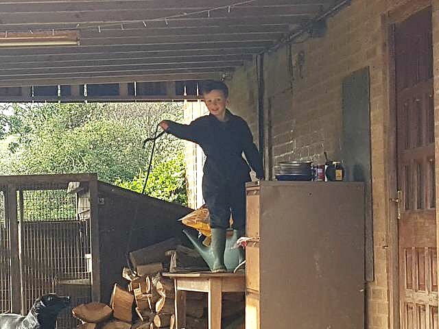 stabding on a table in the carport