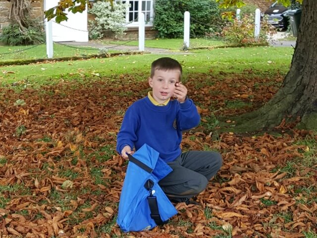 conker collecting after school