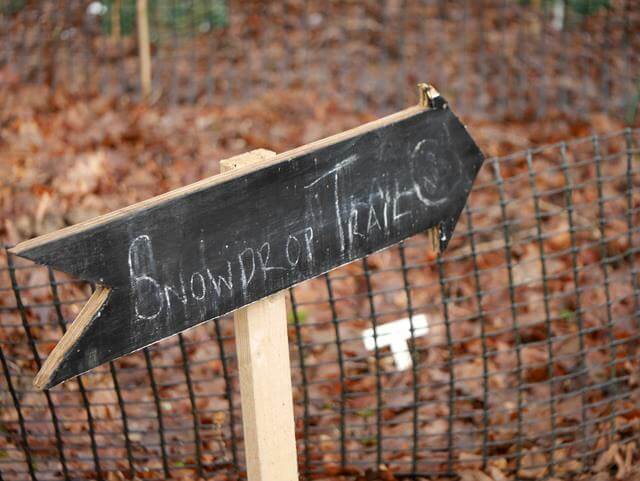 snowdrop trail sign