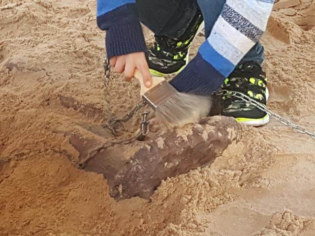 digging for fossils