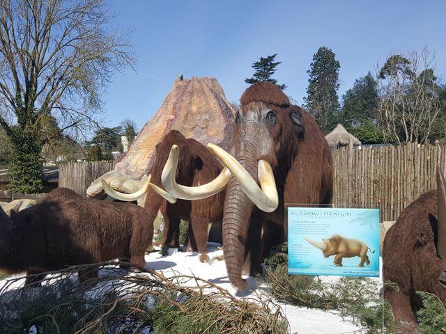 woolly mammoths