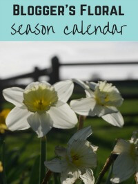 seasonal floral calendar