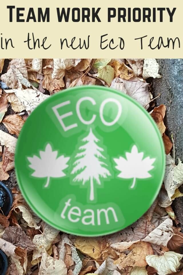 Eco team priorities - Bubbablue and me
