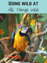 all things wild