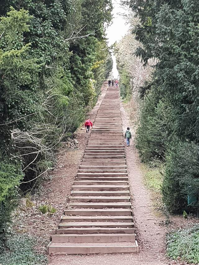 long wooden steps uphill at cliveden