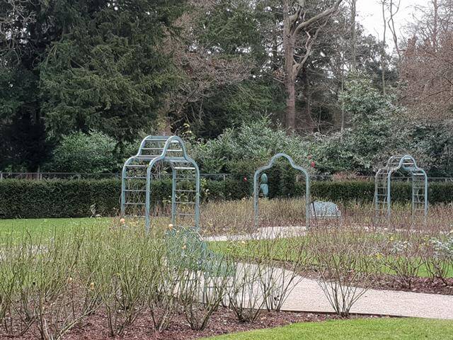 rose garden walkway in winter