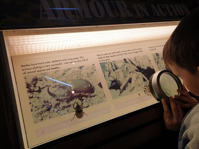 examining exhibits