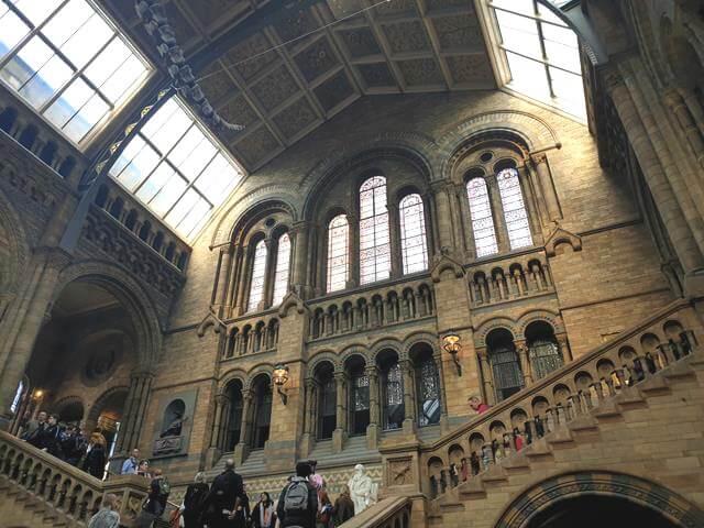 hintze hall stained glass