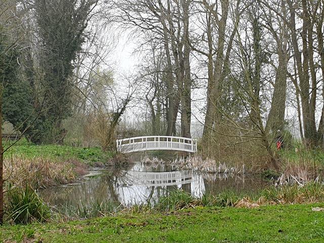 white bridge over water reflections