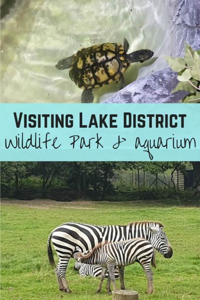Lake district wildlife park and aquarium - Bubbablue and me