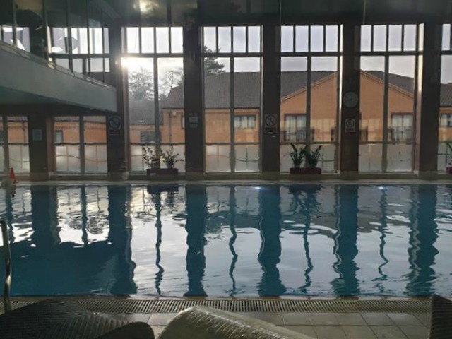 swimming pool at forest pines