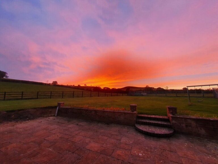 gorgeous red sunset widescreen view in garden