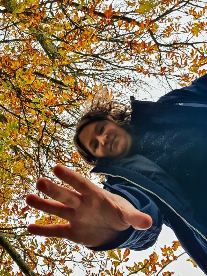 reaching down to the ground below autumn tree