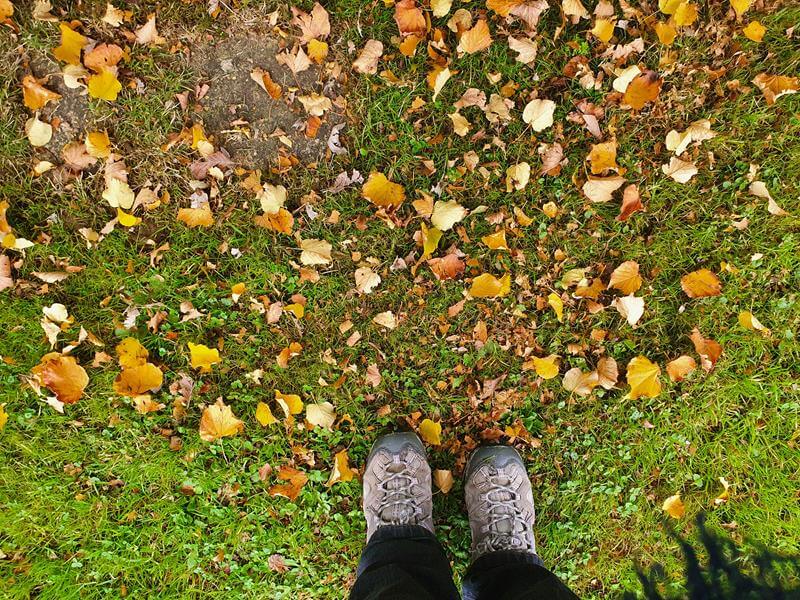 standing amongth yellow and brown leaves