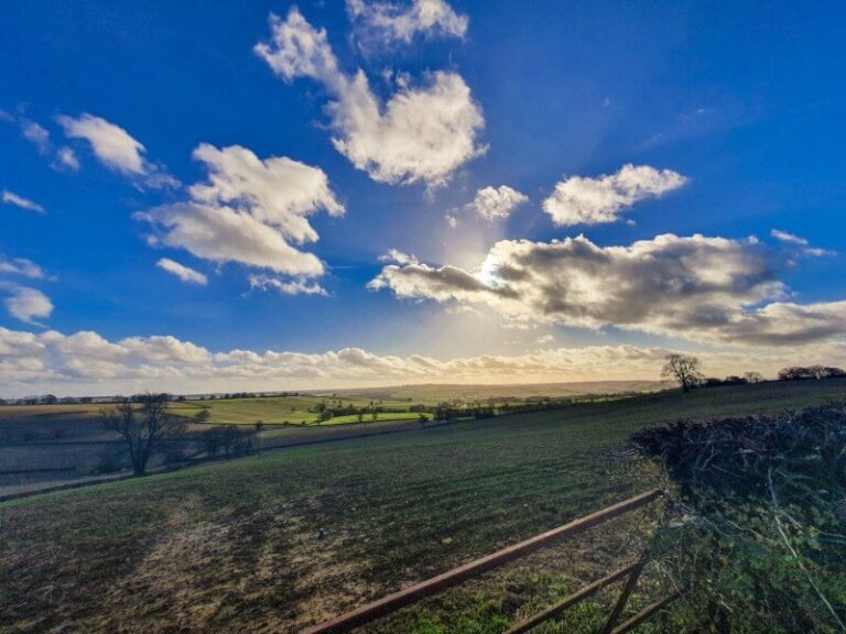 view of blue sky over fields