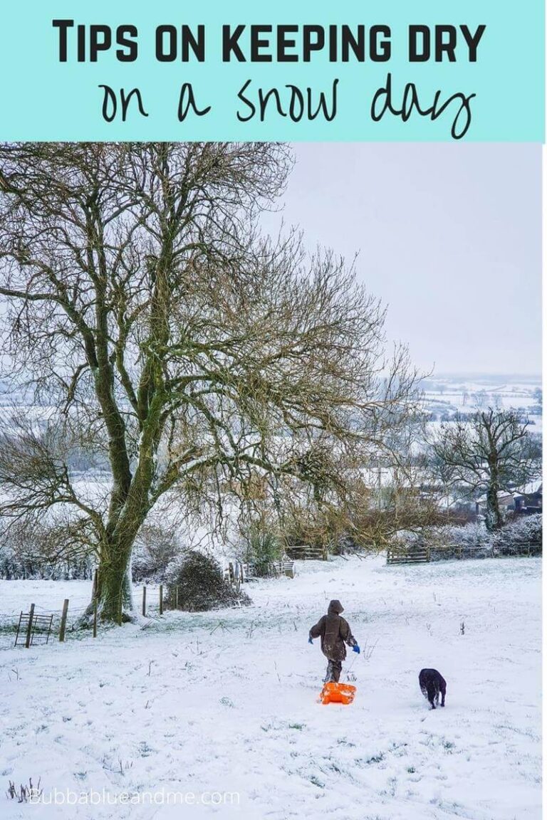 Snow days and sledging with a dog in tow