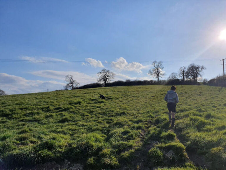 walking the dog in the fields