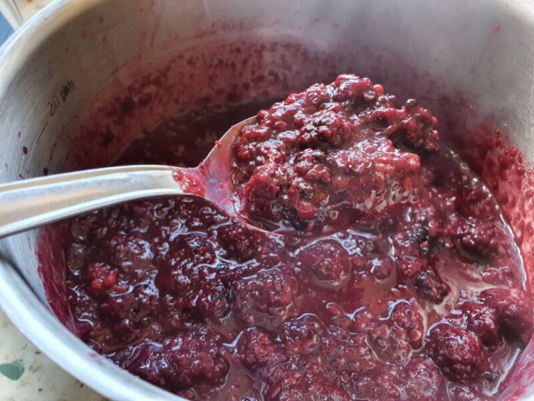 keto blackberry jam