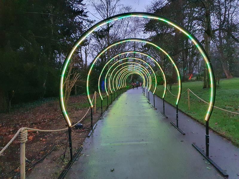 lit up archway loops