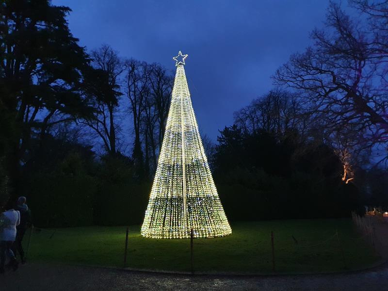 lit up christmas tree light display