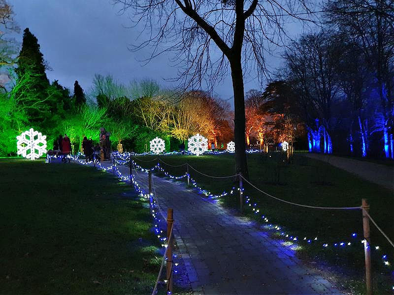 lit up path towards giant lit up snowflakes