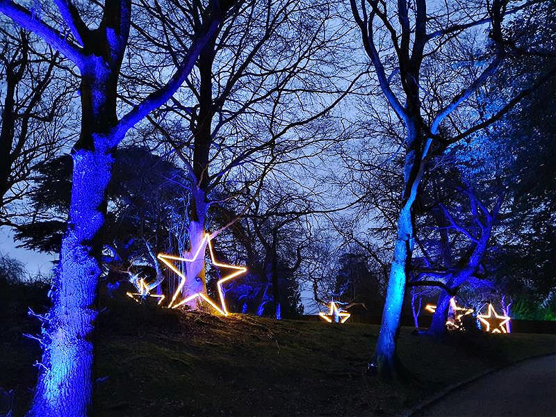 lit up stars amongst blue lit up trees