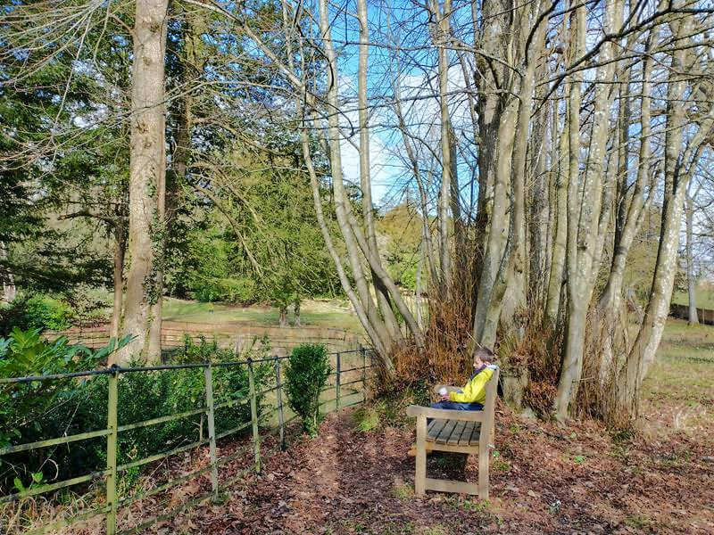 boy sitting on bench surrounded by trees