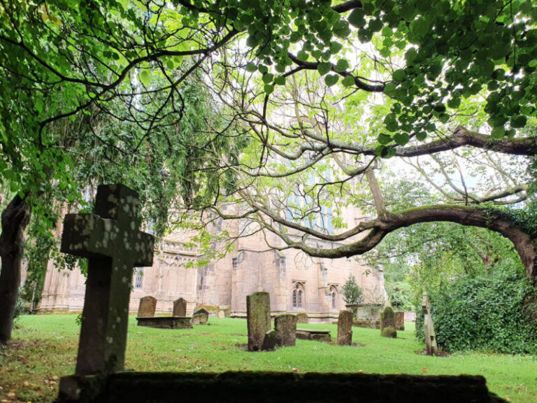 graveyard and trees with church in the background