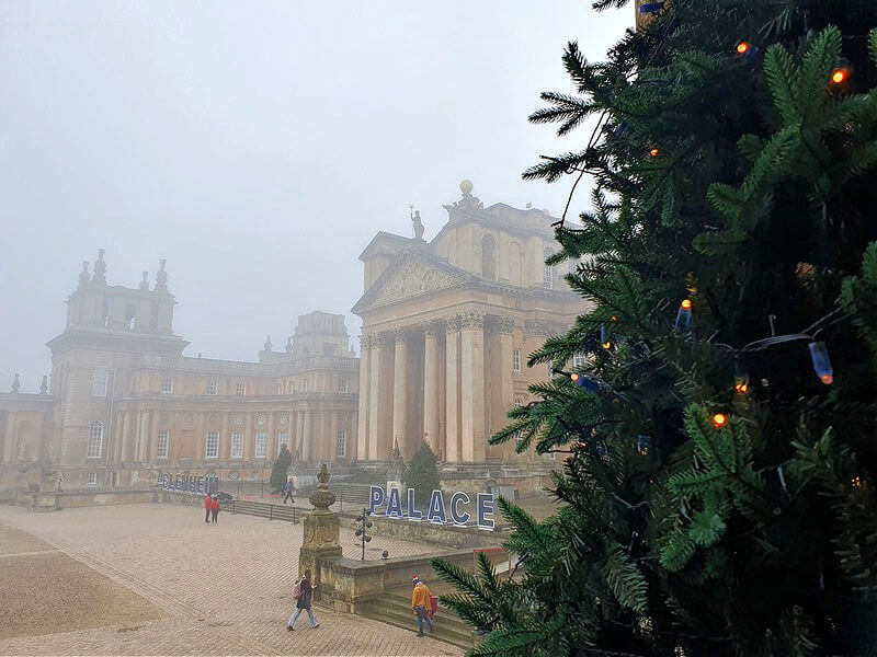 blenheim in the fog half behind a christmas tree