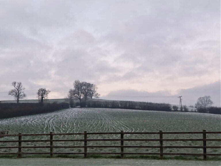 frosty vehicle tracks up a hill on a farm